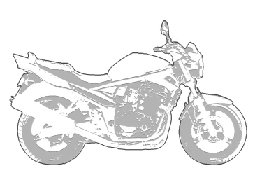 SUZUKI GSF1250 BANDIT 2007
