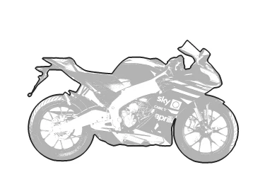 APRILIA RS 125 REPLICA 2006